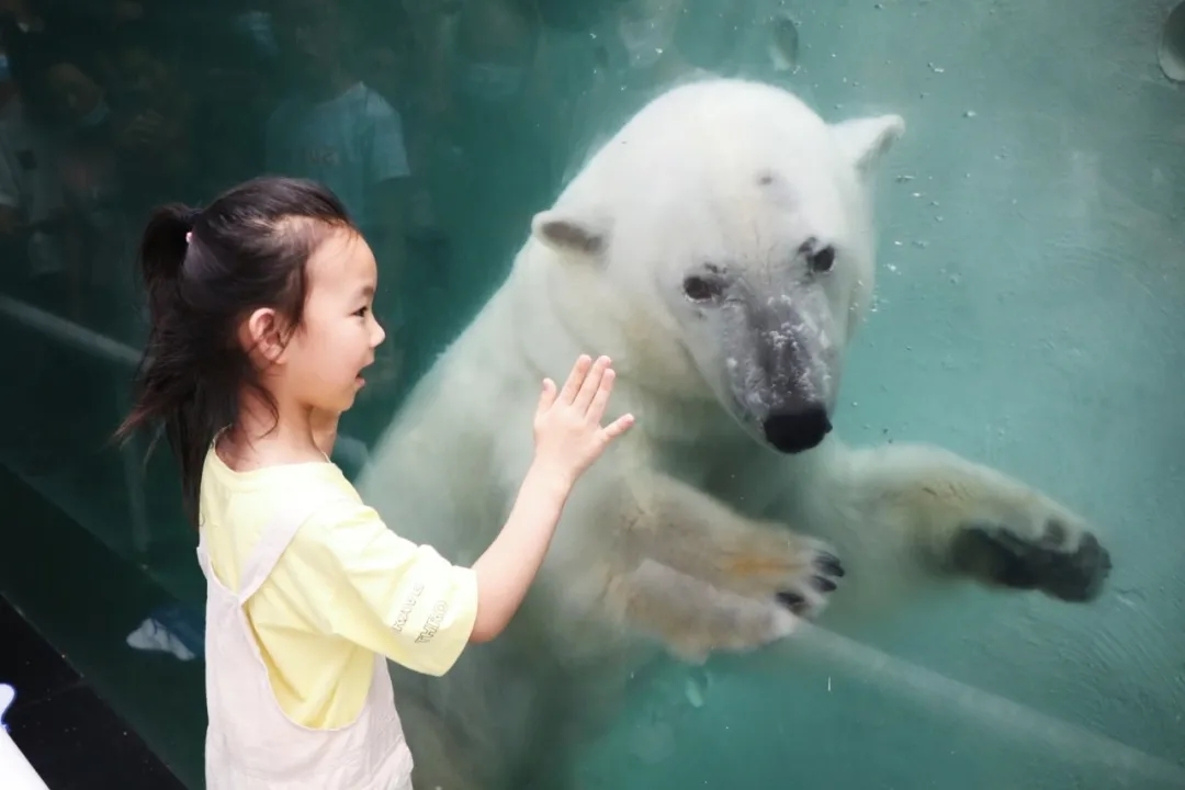 超值丨1大1小僅需258元，還送秦嶺野生動(dòng)物園親子票